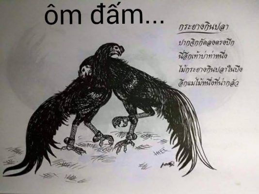 lối đá ôm đấm